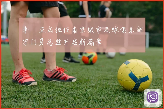 李勣正式担任南京城市足球俱乐部守门员总监开启新篇章