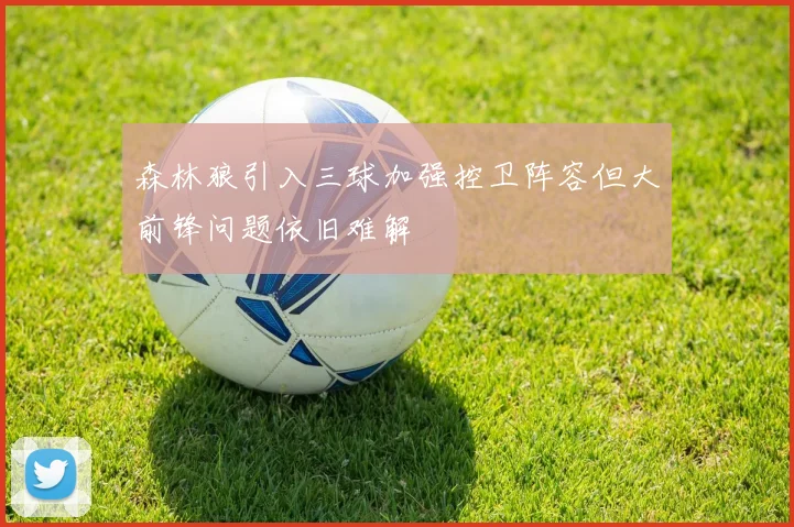 森林狼引入三球加强控卫阵容但大前锋问题依旧难解